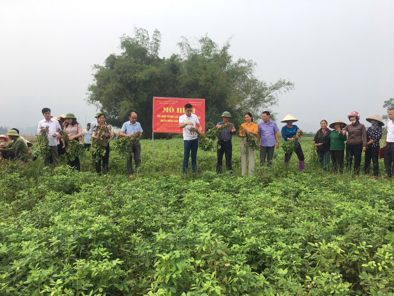 Đại biểu tham quan mô hình trồng chế biến dầu lạc tại xã Văn Bán,huyện Cẩm Khê