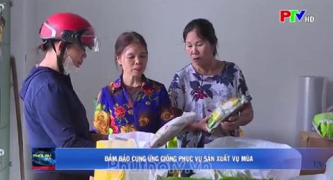 Đảm bảo cung ứng giống phục vụ sản xuất vụ mùa