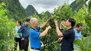Giới thiệu tiến bộ kỹ thuật lĩnh vực lâm nghiệp